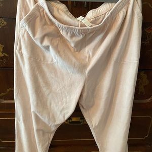 American eagle aerie